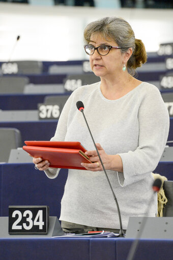 Foto 2: Plenary session week 19 2016 in Strasbourg.   Explanations of votes