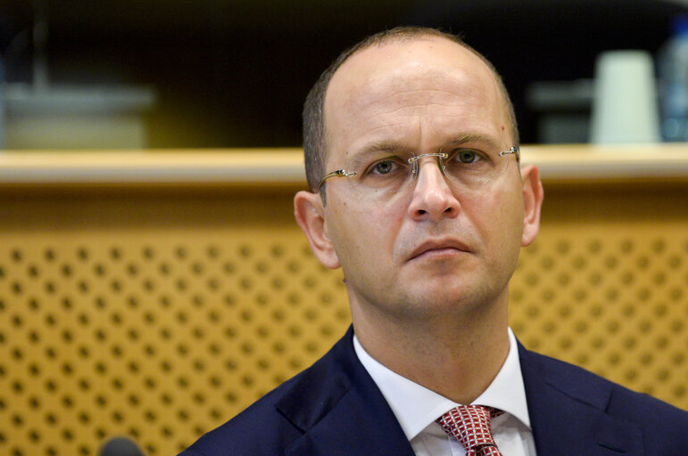 EU-Albania Friendship Group