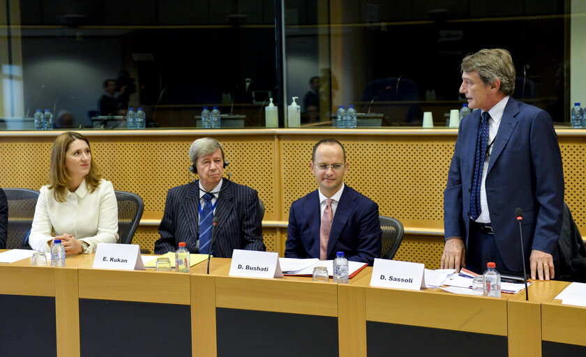 EU-Albania Friendship Group