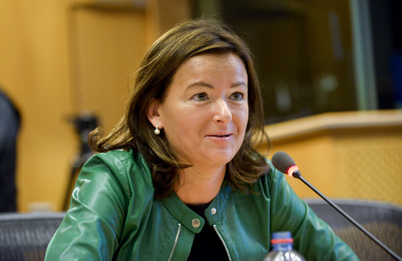 EU-Albania Friendship Group