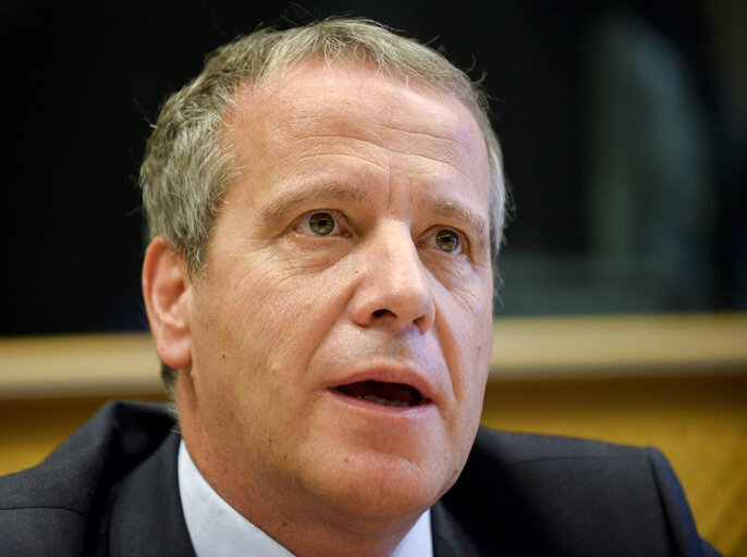 EU-Albania Friendship Group