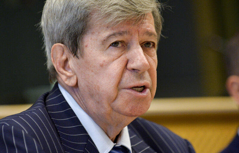 EU-Albania Friendship Group