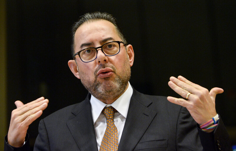 EU-Albania Friendship Group