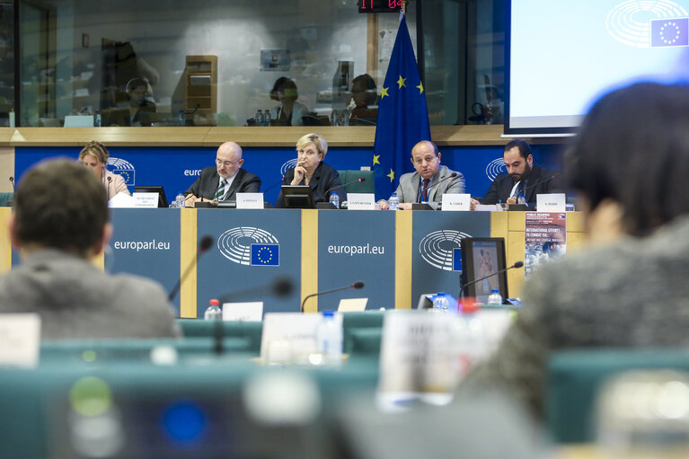 Fotografie 8: Public Hearing of the Subcommittee on Defence (SEDE) on ' International efforts to combat ISIL: military and strategic dimension'