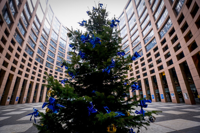 Christmas Tree at EP Parliament in Strasbourg