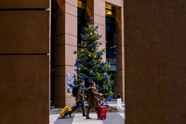 Christmas Tree at EP Parliament in Strasbourg