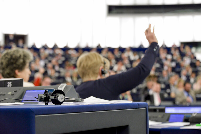 Fotografi 23: Plenary session in Strasbourg - Week 27 2016 - VOTES followed by explanations of votes