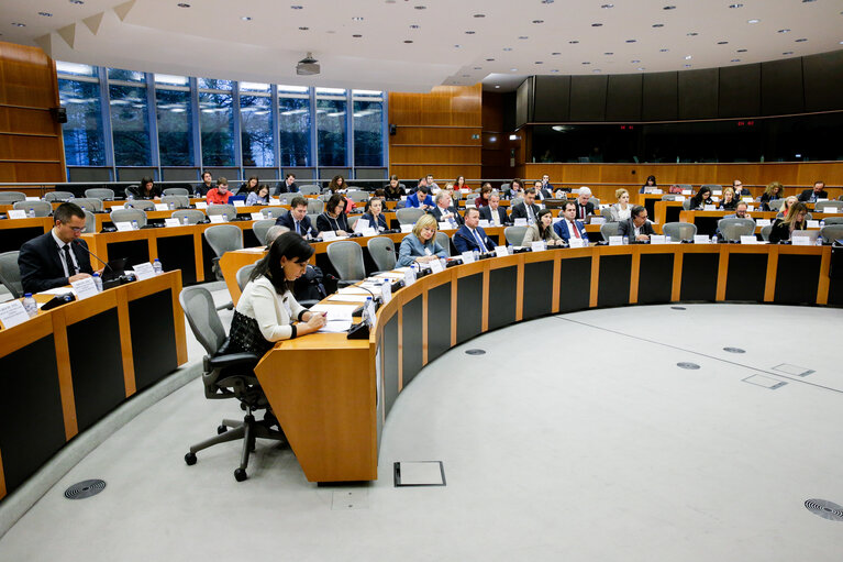 Fotografija 12: 11th EU-Albania Stabilisation and Association Parliamentary Committee meeting (SAPC)