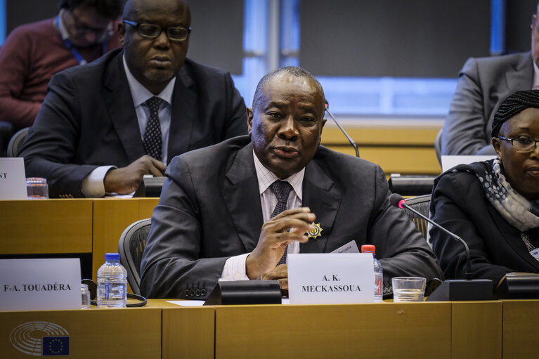 Meeting of the Delegation to the ACP-EU Joint Parliamentary Assembly