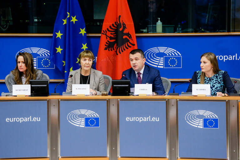 Fotografija 17: 11th EU-Albania Stabilisation and Association Parliamentary Committee meeting (SAPC)