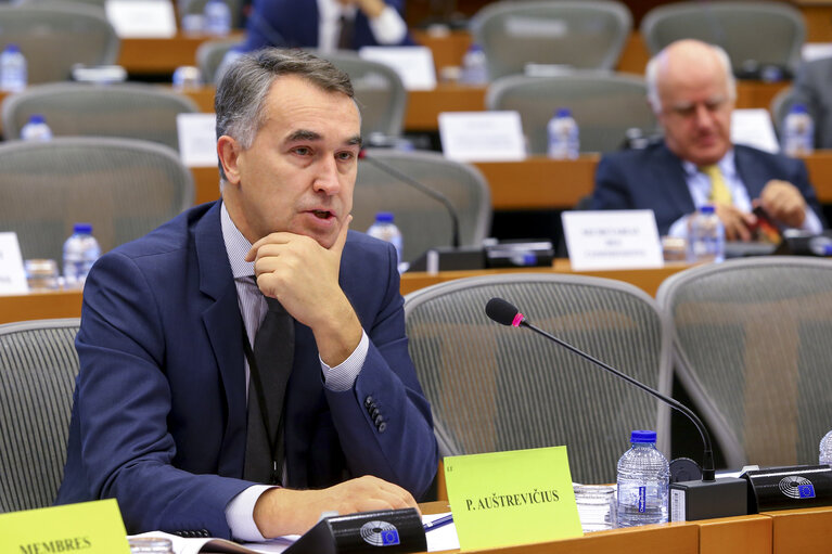 Fotografija 1: SEDE Public hearing ' Afghanistan: the future of the EUPOL mission '