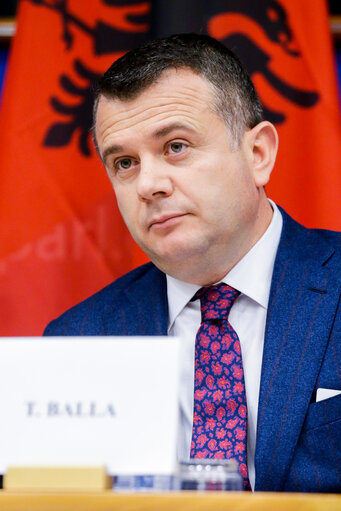 Fotografija 22: 11th EU-Albania Stabilisation and Association Parliamentary Committee meeting (SAPC)