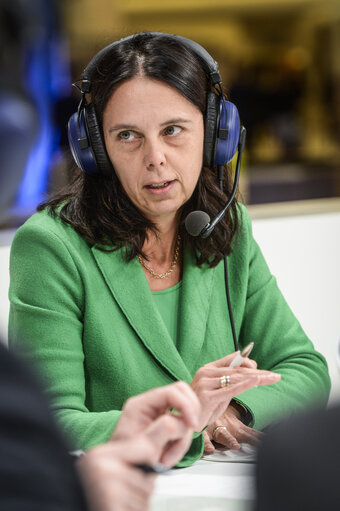 Photo 23 : Euranet Plus debate