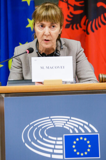 Fotografija 14: 11th EU-Albania Stabilisation and Association Parliamentary Committee meeting (SAPC)