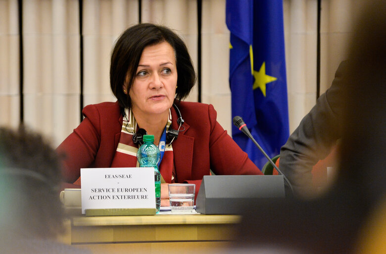 Foto 7: 2nd meeting of the EU-Kosovo Stabilisation and Association Parliamentary Committee (SAPC)