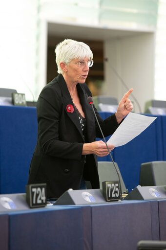 Photo 5 : EP Plenary session - Addressing food security in developing countries