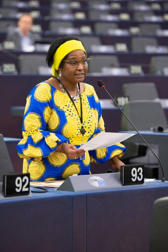 Photo 3: EP Plenary session - Addressing food security in developing countries