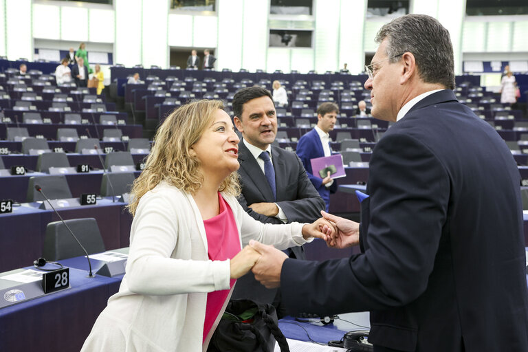 Foto 50: EP Plenary session - Presentation of the programme of activities of the Czech Presidency