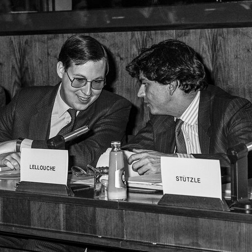 Fotografie 22: Hearing on disarmament at the European Parliament in Brussels