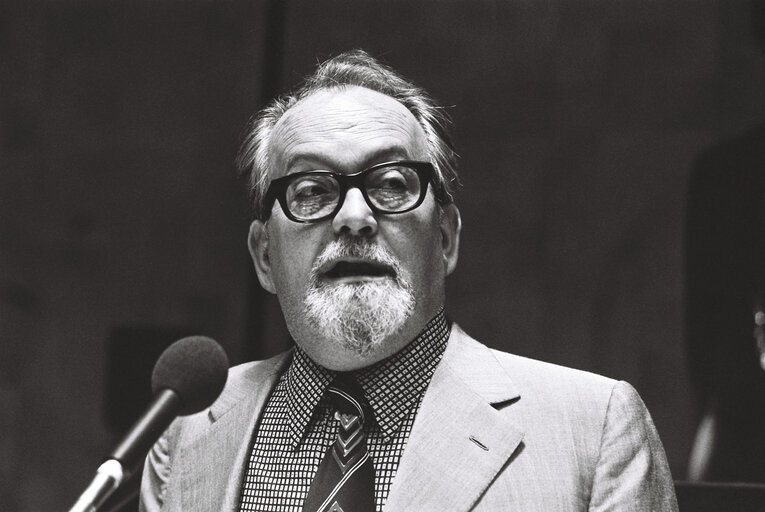 Plenary session Luxembourg july 1976