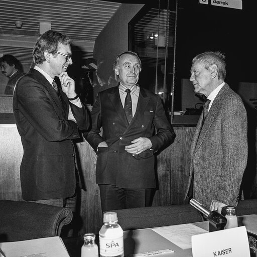 Fotografie 20: Hearing on disarmament at the European Parliament in Brussels