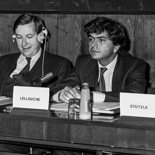 Fotografie 25: Hearing on disarmament at the European Parliament in Brussels