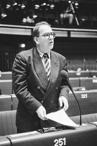 Plenary session in Strasbourg