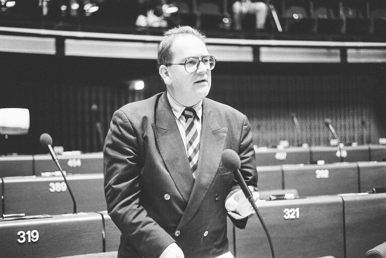 Plenary session in Strasbourg