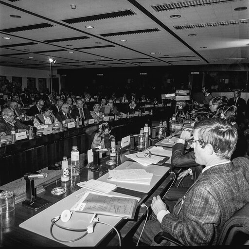 Fotografie 26: Hearing on disarmament at the European Parliament in Brussels