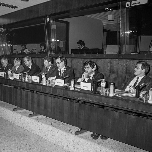 Fotografie 12: Hearing on disarmament at the European Parliament in Brussels