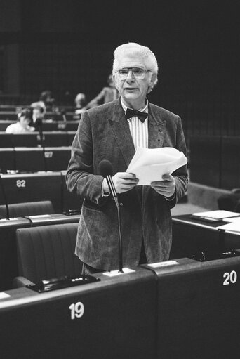 Plenary session in Strasbourg