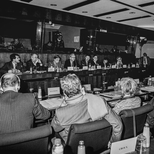 Fotografie 11: Hearing on disarmament at the European Parliament in Brussels