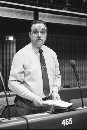 Plenary session in Strasbourg