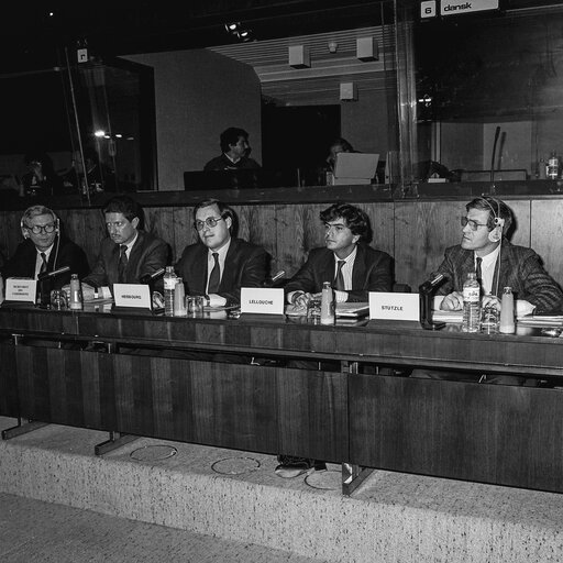 Fotografie 10: Hearing on disarmament at the European Parliament in Brussels