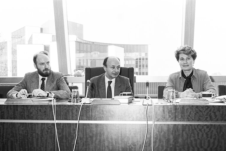 Foto 16: Meeting at the European Parliament in Strasbourg in November 1986