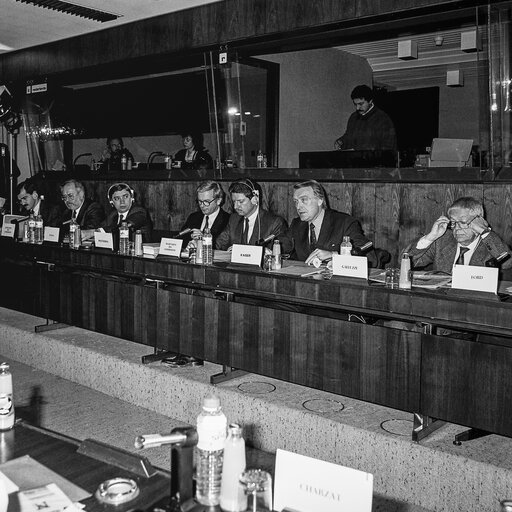 Hearing on disarmament at the European Parliament in Brussels