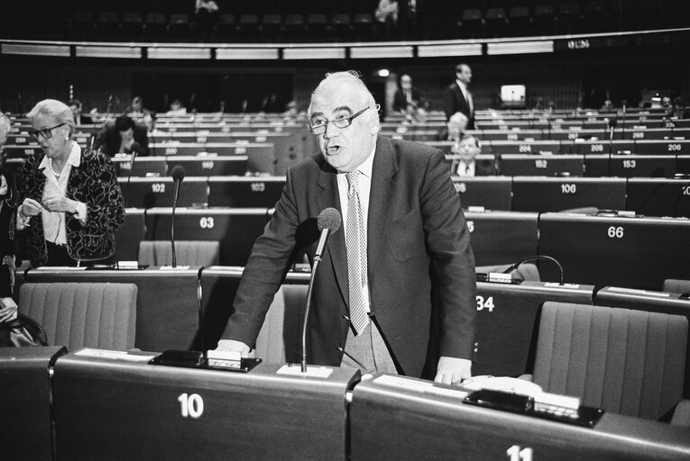 Billede 41: Plenary session in Strasbourg