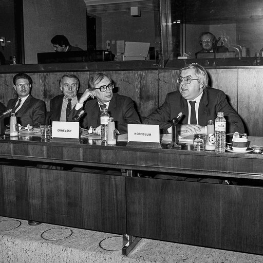 Fotografie 8: Hearing on disarmament at the European Parliament in Brussels