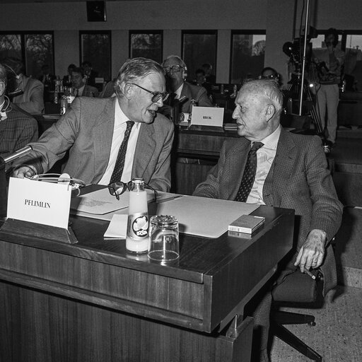 Fotografie 27: Hearing on disarmament at the European Parliament in Brussels