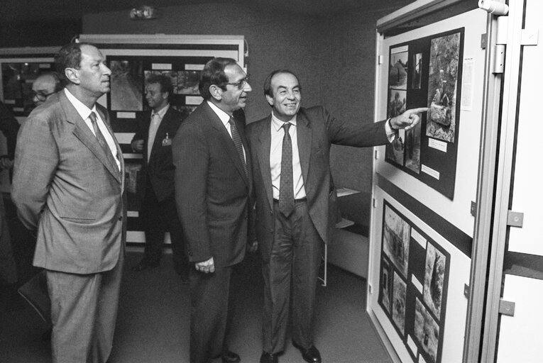 Photo 14 : Art exhibition hosted by Italian Meps at the European Parliament