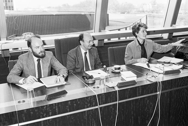 Foto 10: Meeting at the European Parliament in Strasbourg in November 1986