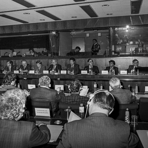 Fotografie 15: Hearing on disarmament at the European Parliament in Brussels