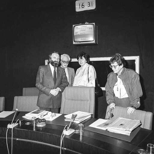 Foto 13: Meeting at the EP in Strasbourg