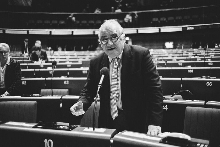 Plenary session in Strasbourg