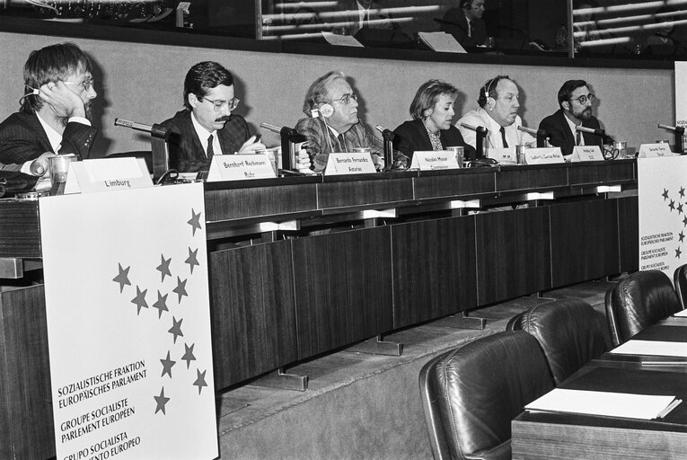 Photo 4: Meeting hosted by Nicolas MOSAR and Ludovina GARCIA ARIAS at the EP