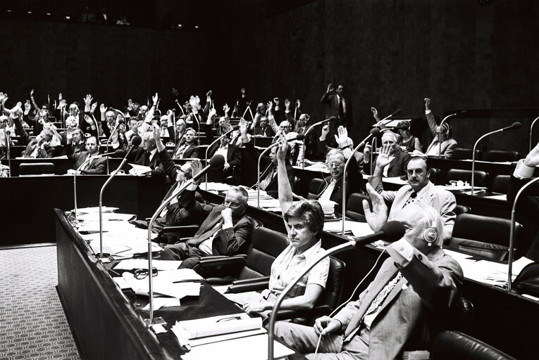 Valokuva 23: Plenary session Luxembourg july 1976