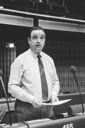 Plenary session in Strasbourg