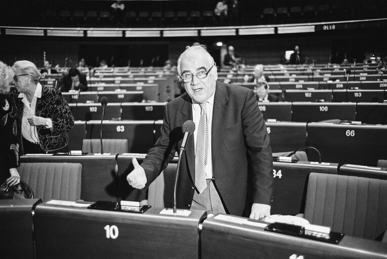 Plenary session in Strasbourg