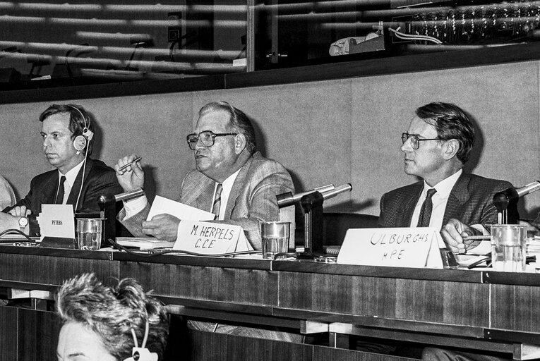 Fotografia 4: Meeting at the European Parliament with MEP Hans Johannes Wilhelm PETERS