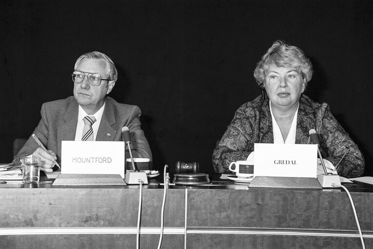 Valokuva 1: Meeting at the European Parliament